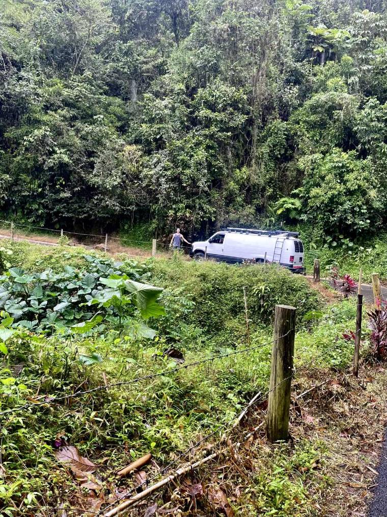 The van stopped on a narrow road cut into dense green mountain vegetation in rural Puerto Rico